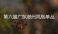 第六届广东潮州凤凰单丛茶争霸赛开始收集茶样