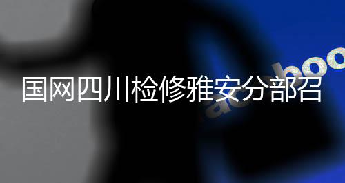 国网四川检修雅安分部召开成立六周年座谈会
