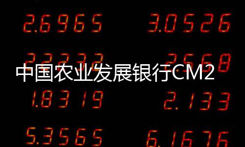 中国农业发展银行CM2006系统升级软需评审会在雅召开