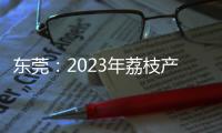 东莞：2023年荔枝产量增长37.9%