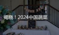 揭晓！2024中国蔬菜产业大会超强阵容，快来报名→