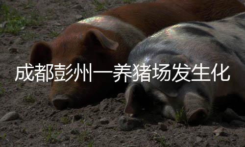 成都彭州一养猪场发生化粪池气体中毒事故造成7人死亡