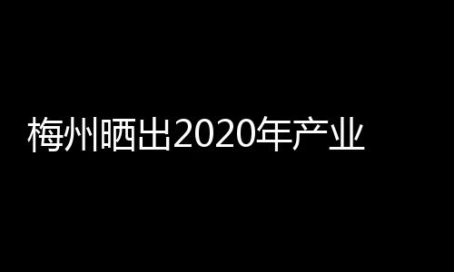 梅州晒出2020年产业成绩单