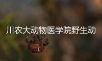 川农大动物医学院野生动物救助站正式挂牌
