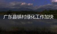 广东县镇村绿化工作加快推进，今年种植苗木数量超520万株