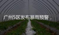 广州5区发布暴雨预警，1区停课4区学生可延迟上学