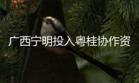 广西宁明投入粤桂协作资金50万元，助推水稻全产业链发展