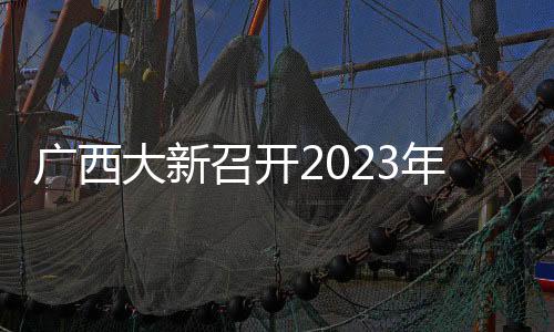 广西大新召开2023年度东西部协作挂职干部和专业技术人才座谈会
