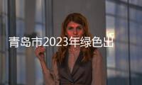 青岛市2023年绿色出行宣传月和公交出行宣传周系列活动启动