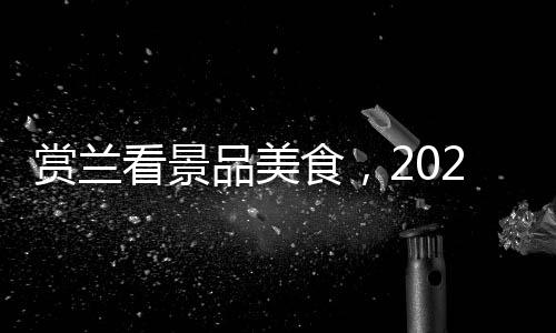 赏兰看景品美食，2024年四会兰花旅游文化节开幕